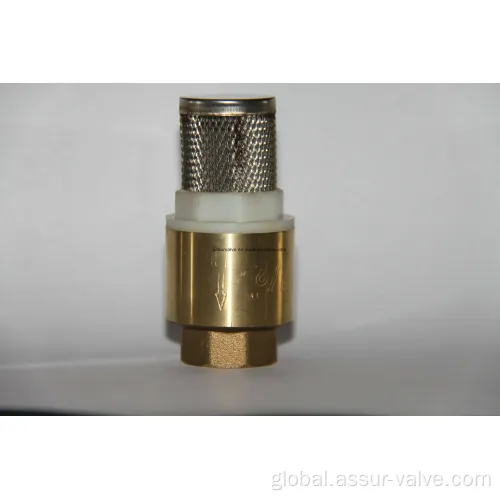 Spring Check Valves Brass Water Check Valves with Stainless Steel Net Supplier